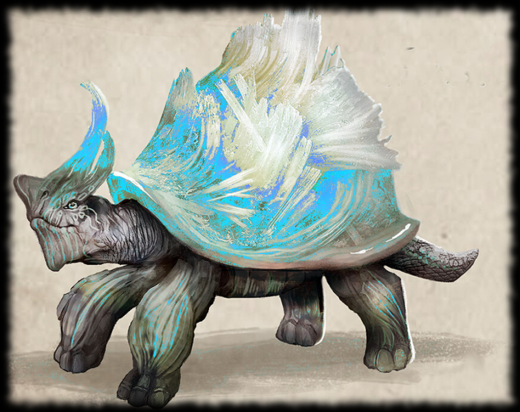 Turtle03